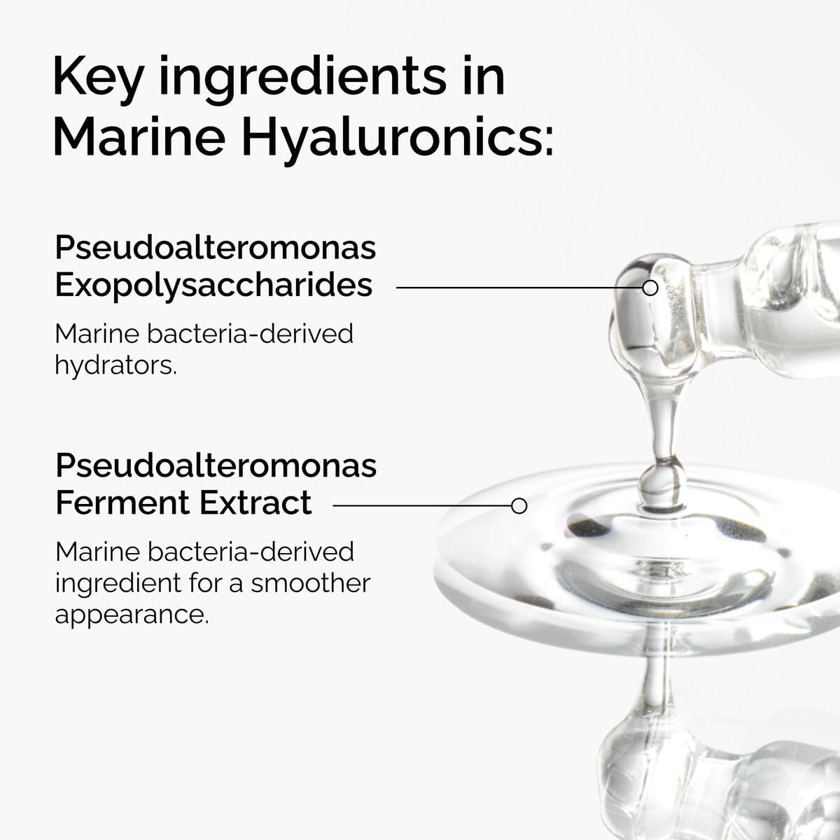 marine-hyaluronics-q2 FY25-D41247-ORD-Web-PDP-Marine-Hya-1x1-EN-2a.jpg