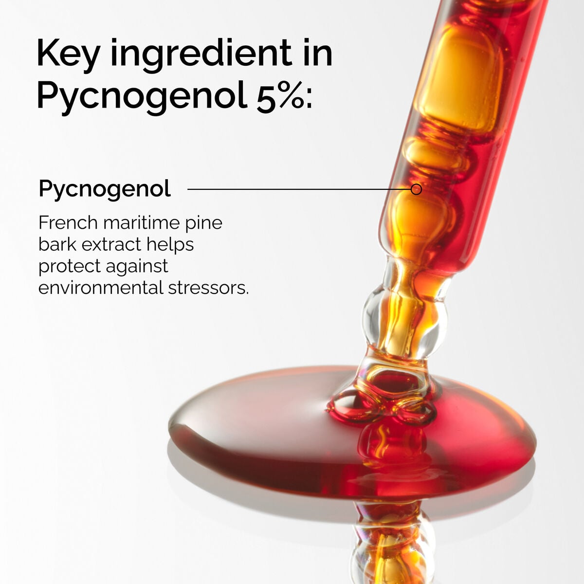 pycnogenol-5-r7 FY25-D41247-ORD-Web-PDP-Pyc-5pct-1x1-EN-2a.jpg