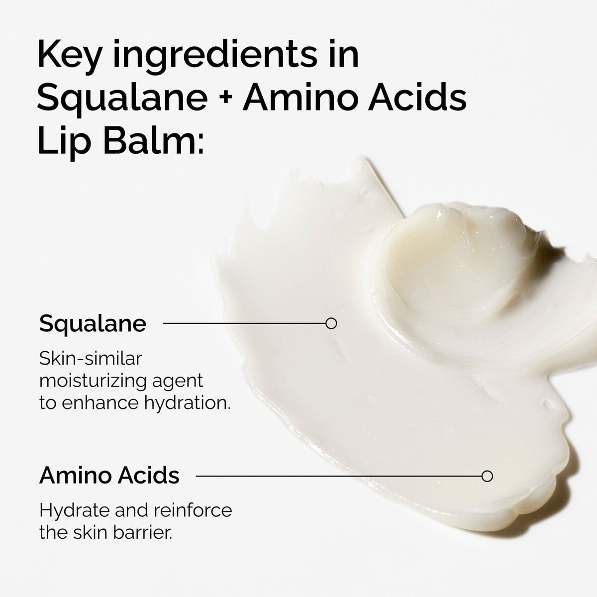 squalane-amino-acids-lip-balm-m7 FY25-D41247-ORD-Web-PDP-Sql-Amino-Lip-1x1-EN-2a.jpg