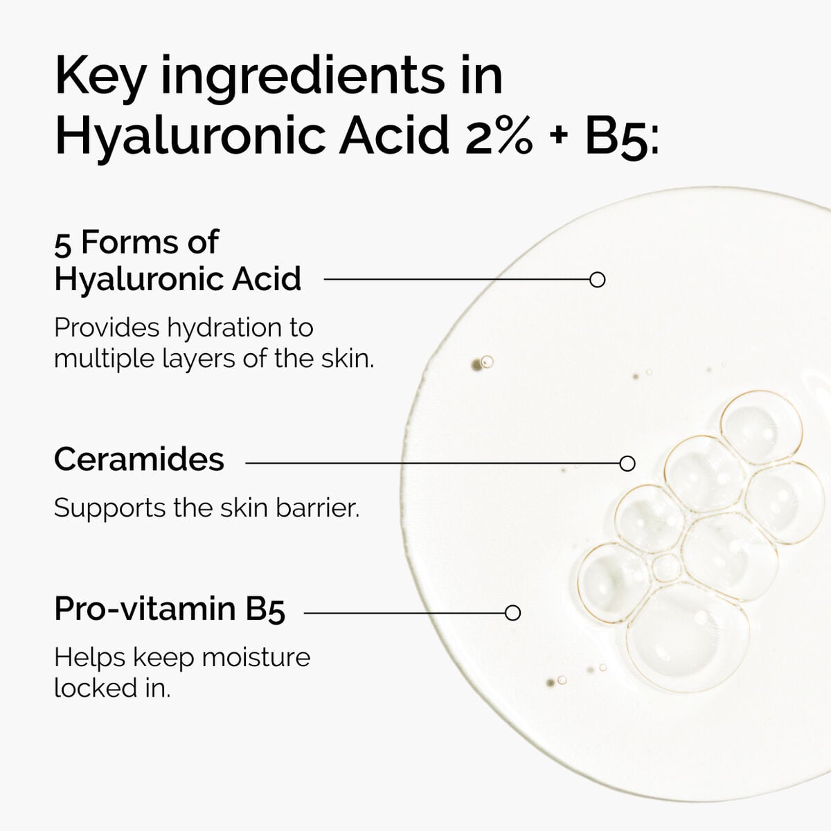 hyaluronic-acid-2-b5-with-ceramides-k5 ord-hyaluronic-acid-2pct-b5-hydrating-serum-ingredients-graphic.jpg